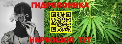 шишки Ярославль