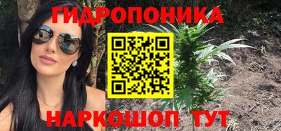 шишки Ярославль