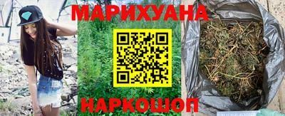крисы Шелехов