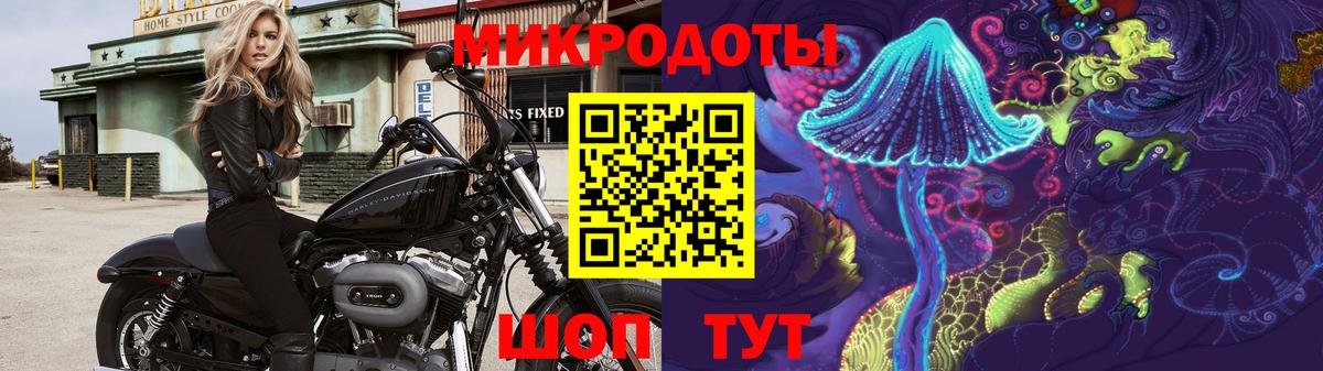 Псилоцибиновые грибы Psilocybe  Вход с VPN  даркнет сайт  Галлюциногенные грибы мицелий  Ахтубинск 